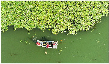 炒股配资公司网 山东在全省布设527个生态质量样地