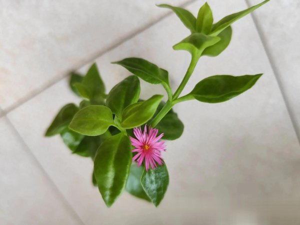 股票配资官网开户 人到中年真不能轻易创业，一不小心回到解放前